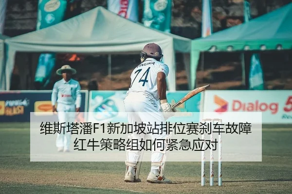 维斯塔潘F1新加坡站排位赛刹车故障 红牛策略组如何紧急应对